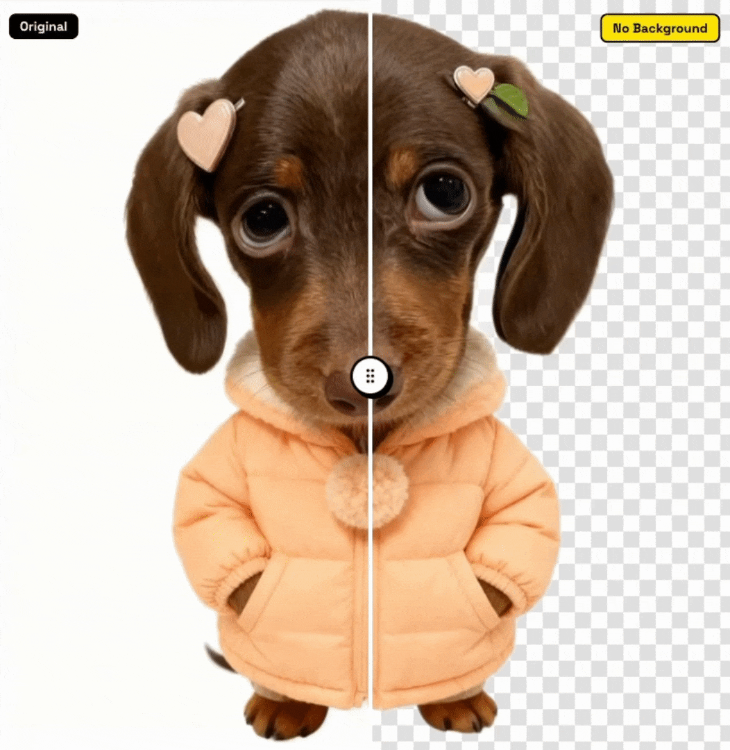 AI抠图示例1 - portrait图片处理效果对比动画