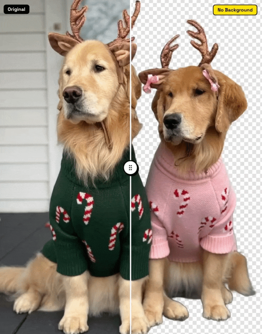 AI抠图示例3 - animal图片处理效果对比动画